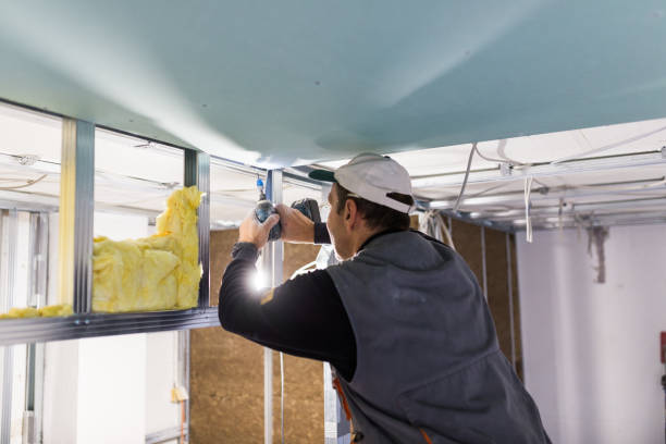 Best Eco-Friendly Insulation in University City, MO