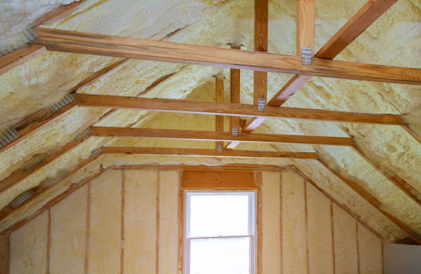 Best Commercial Insulation in University City, MO