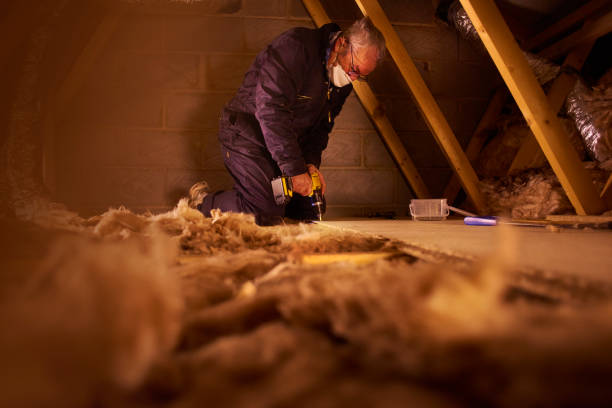 Best Insulation Maintenance and Repair in University City, MO